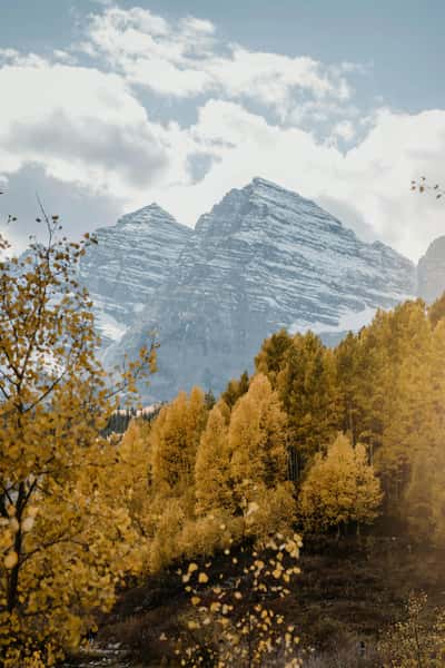 Aspen