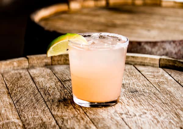 Belle's Paloma