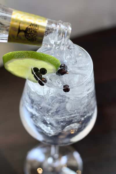 Signature GIn & Tonic