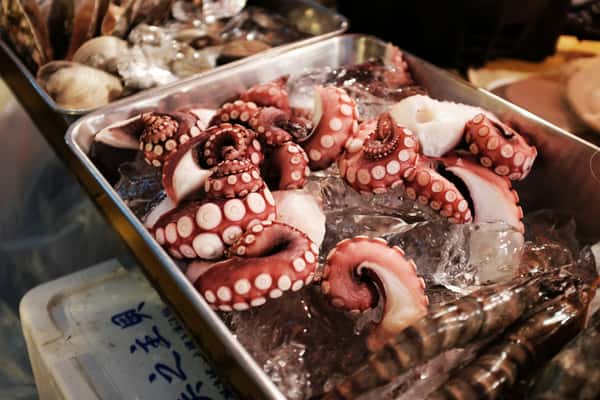 Raw octopus