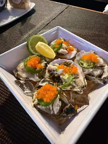 Dragon Oysters