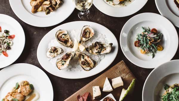 Overhead view of oysters on the half shell surrounded by additional seafood dishes.