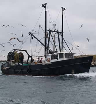 fishing boat on the ocean