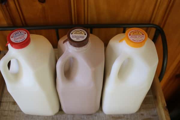 Hornstra Dairy Milk