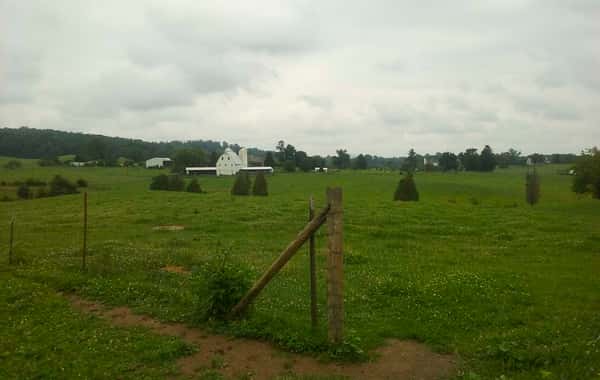Farm-To-Table