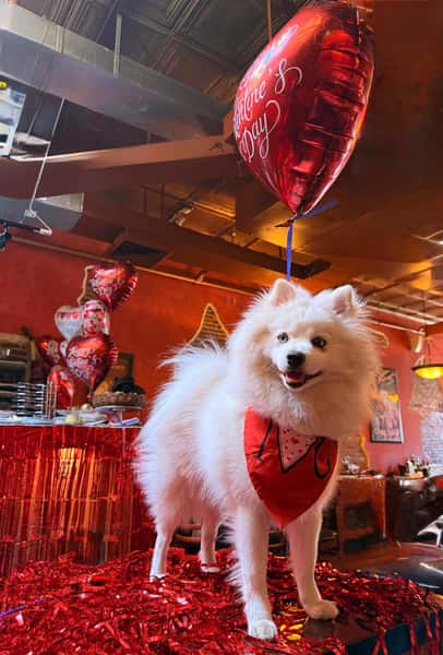 Happy valentine's Day