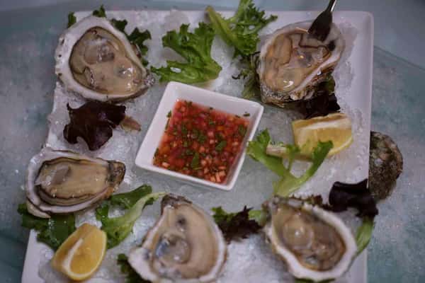 Chincoteague Oyster