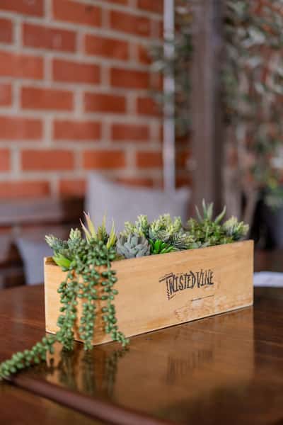 Patio Planter Box
