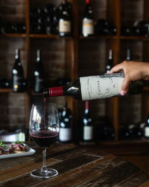 Wine Catena Malbec