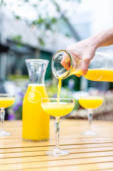 mimosa