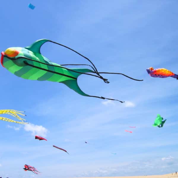 kites