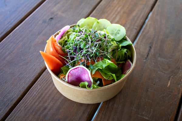 Aquaponic Farm Salad