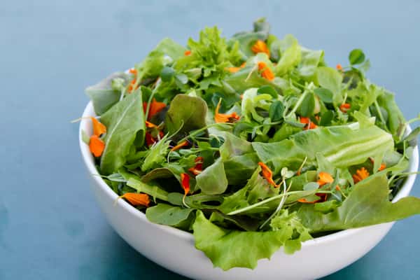Large FB Farm Salad