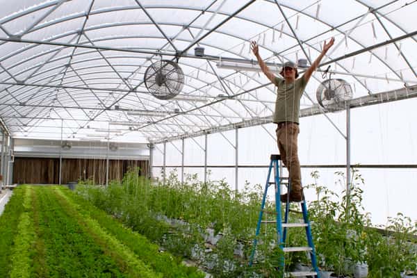 intern in tunnel house