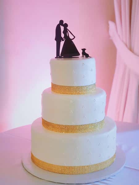 Smooth with Swiss Dots and Gold Gemstone Ribbon