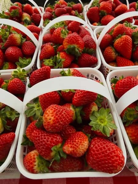 strawberry