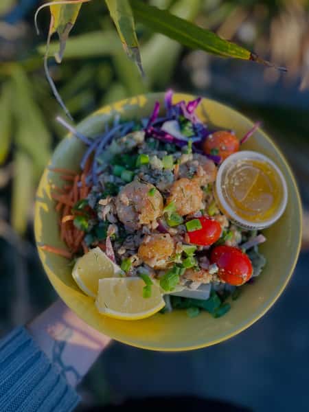 Dish