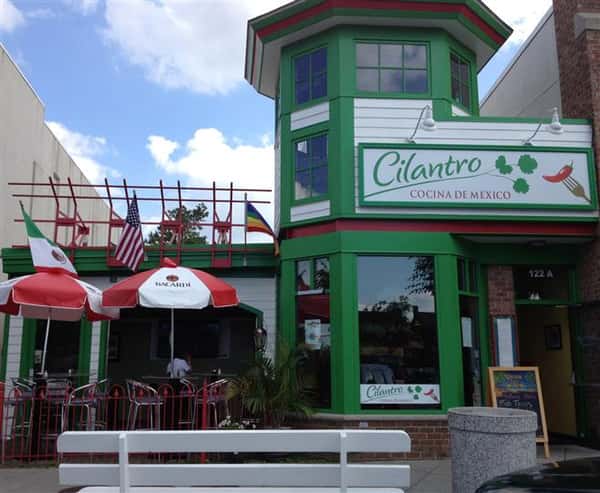 outside view of cilantro