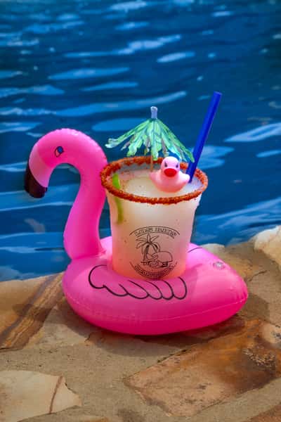 flamingo