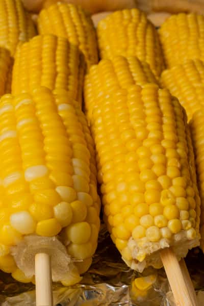 ELOTE