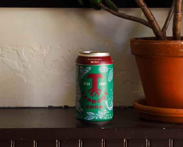 Can of Taproot Soda blackberry mint flavor placed on a shelf next to a potted plant