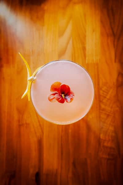 Rose Gimlet @ The Oxford Kitchen Lodi