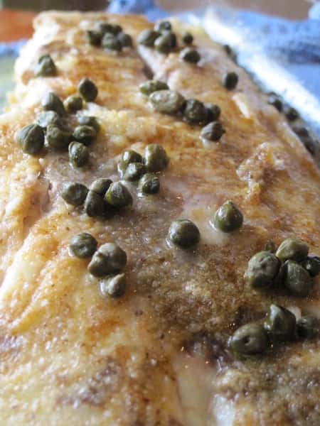 salmon special with capers and wine