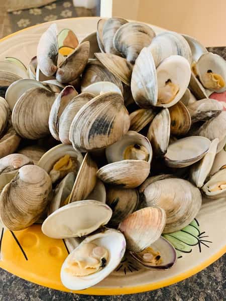 little neck clams with butter or wine sauce