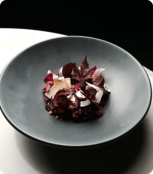 A bowl of delicately arranged salad with vibrant purple and green leaves, topped with slices of radish and seeds on a dark background.