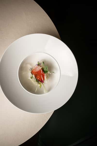 Salmon