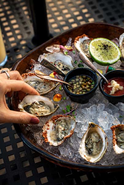 Oysters*