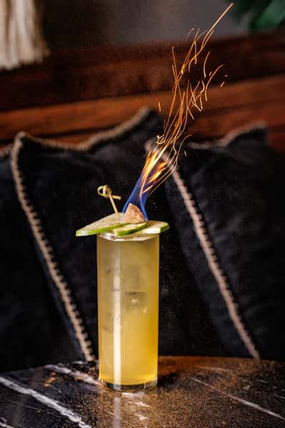 Jungle Cider