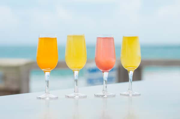 Mimosa Flight