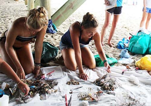 People volunteering on the beach