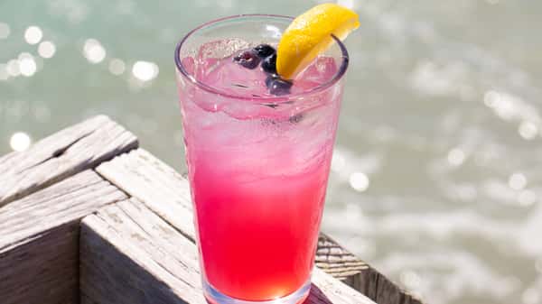 Endless Summer Blueberry Lemonade