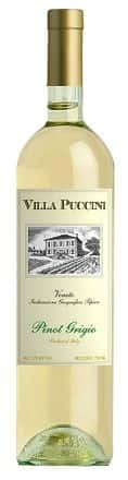 Villa Puccini Pinot Grigio