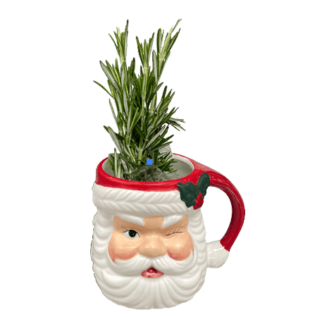 CHRISTMAS PUNCH