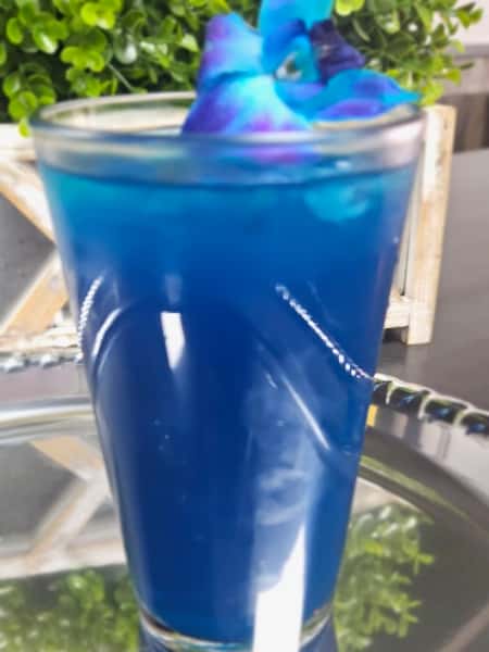 Blueberry Blast