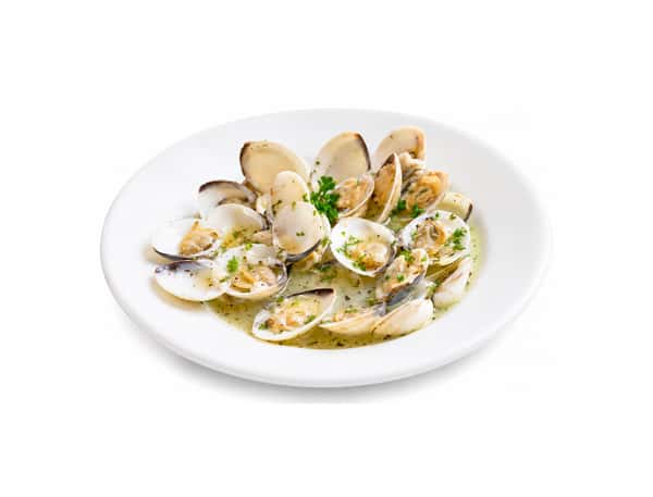 Clams