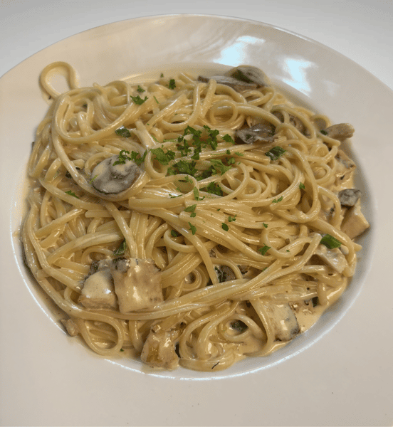 Chicken or Shrimp Alfredo