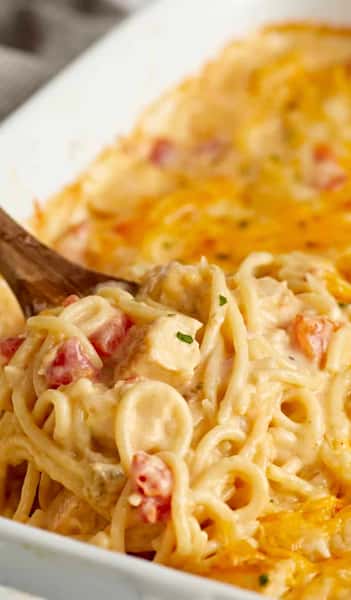 Chicken Spaghetti