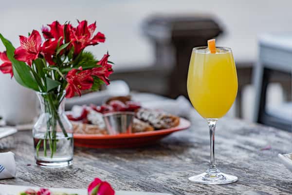 Mimosa