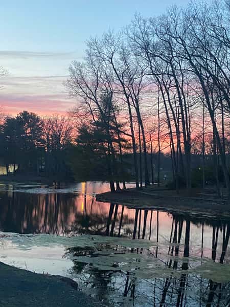 Sunset at Waterside Grille