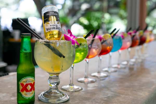 Row of vibrant Mexican margaritas in assorted colors, garnished with lime and orchids, lined up on a bar counter.
