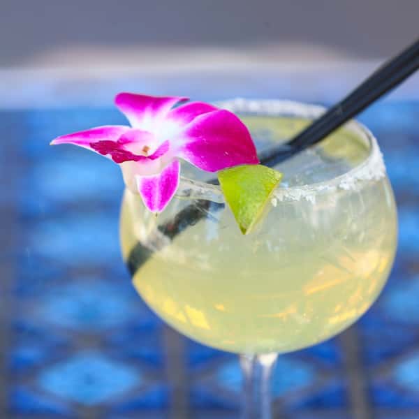 House Margaritas