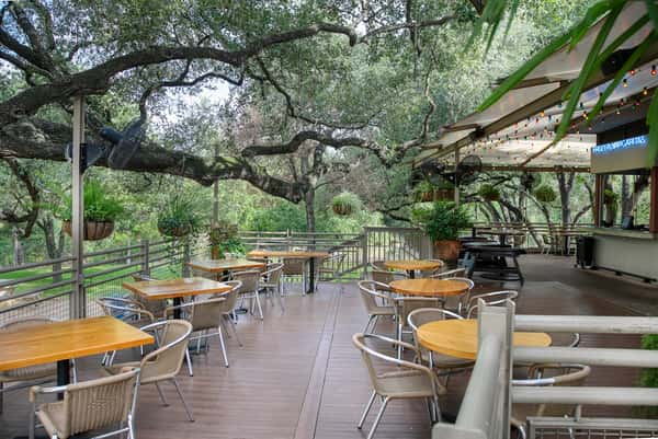 Covered outdoor patio dining with wooden tables, hanging plants, and sprawling oak trees at a Mexican restaurant.
