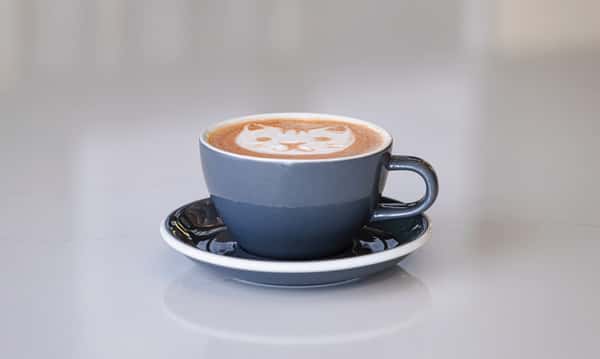 Hot Chocolate