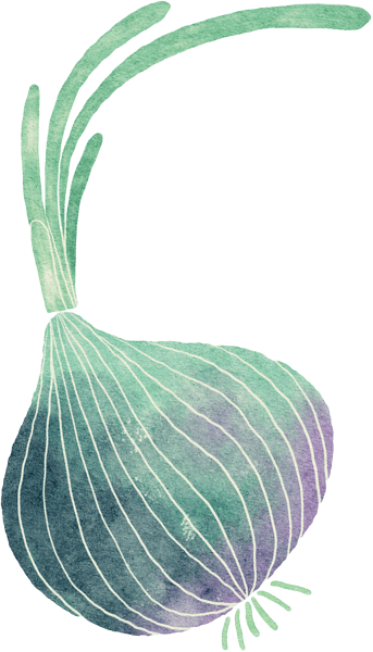 onion graphic