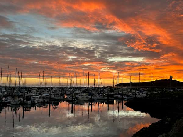 Harbor