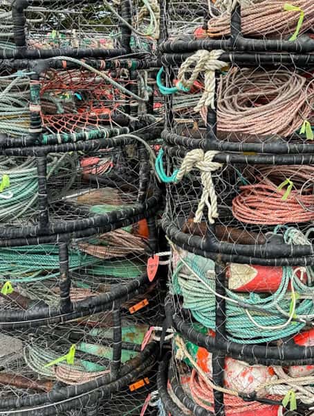 Fishing Nets